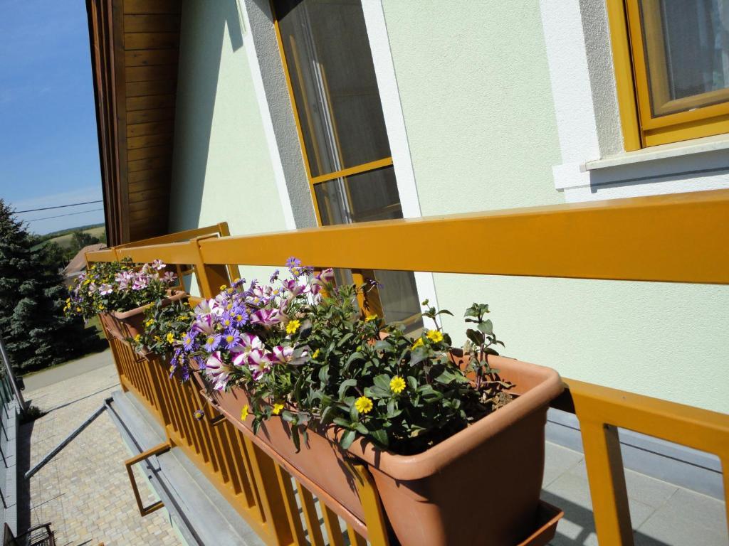 Gaestezimmer Rieder Staatz Rom bilde
